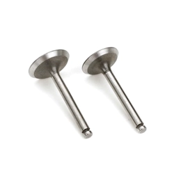 SAITO #125A46 Valve (in  out) pair (para zaworów)