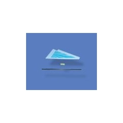 HM004-Z-23 Tail Knighthead