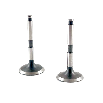 SAITO #18046 Valve (In  Ex) pair (para zaworów)