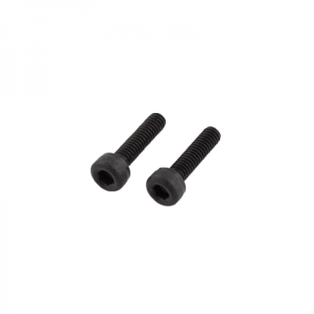 ASP 12123 SCREW 2 PCS