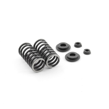 SAITO #120S47 - Valve Spring, keeper, retrainer