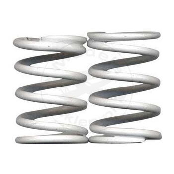 #3954 - Team Associated