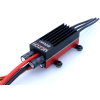 MEZON EVO 80 BEC - Jeti Model