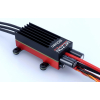 MEZON EVO 80 BEC - Jeti Model